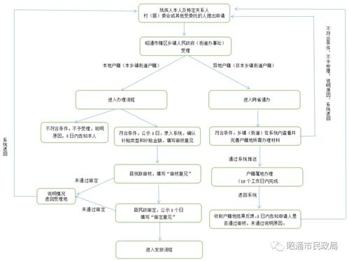 新措落地 昭通市残疾人两项补贴与金融外包协同服务图解析